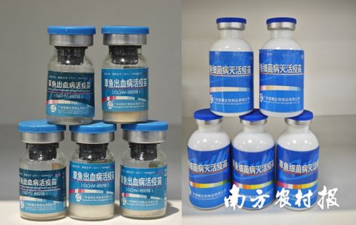 從解決 吃魚難 到助力 養(yǎng)好魚 ,推動中國漁業(yè)可持續(xù)發(fā)展丨記珠江所創(chuàng)立70年